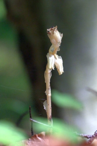 29580